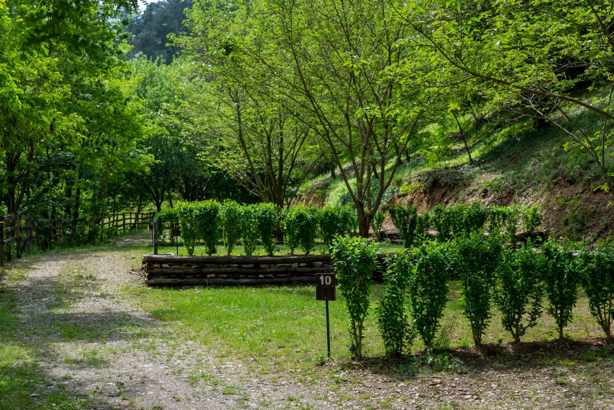 Emplacement de camping enherbé délimité par une jeune haie et des bordures en bois, borne numérotée et talus boisé
