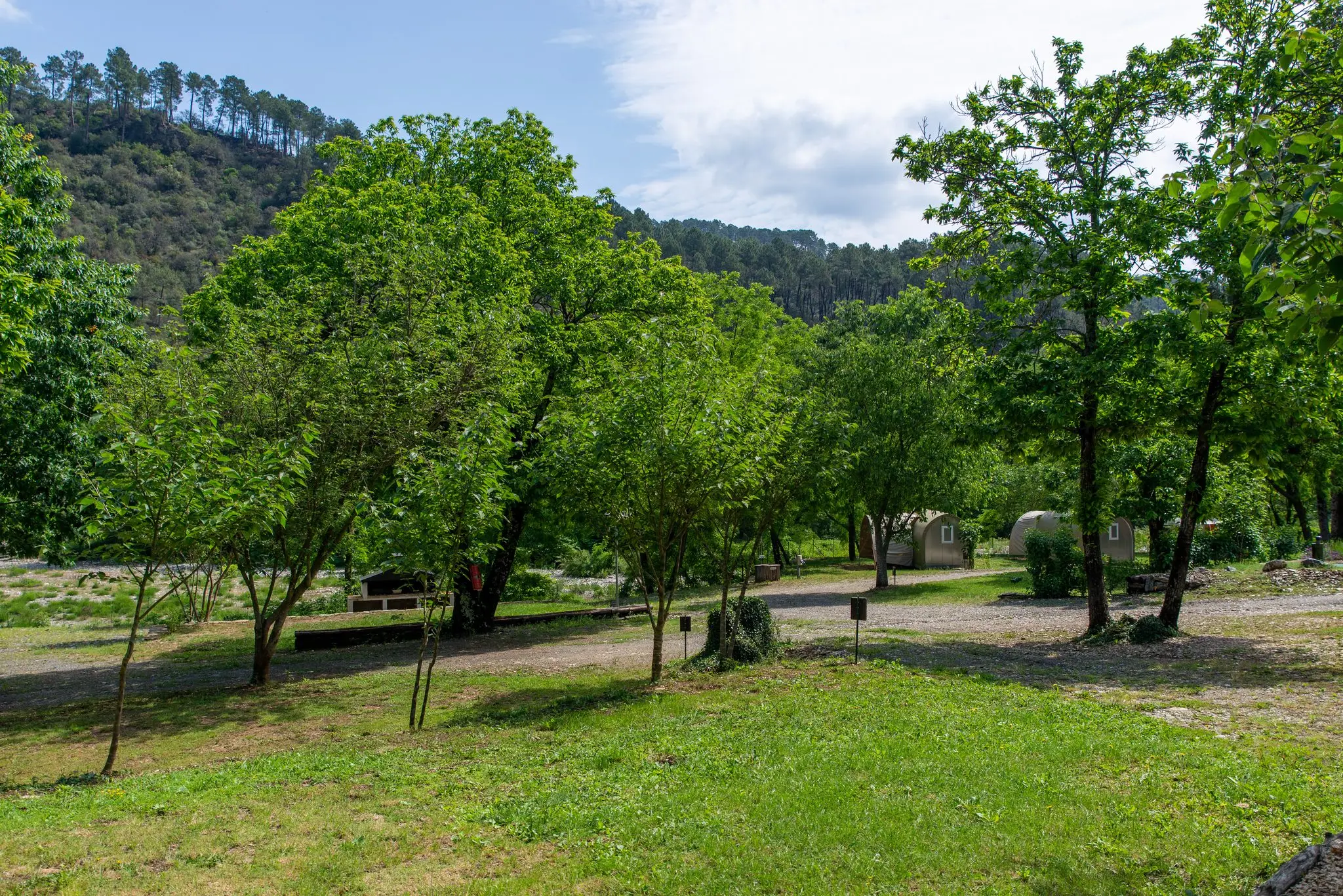 Vaste pelouse ponctuée d'arbres, bornes électriques et hébergements en arrière-plan, au pied des collines boisées