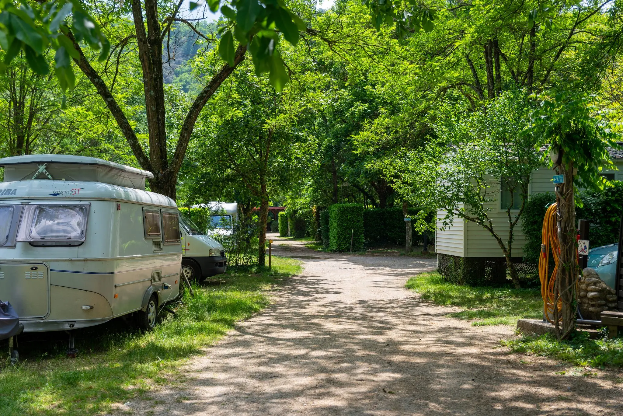Allée de terre sous de grands arbres, caravane et camping-car garés sur des emplacements herbeux séparés par des haies