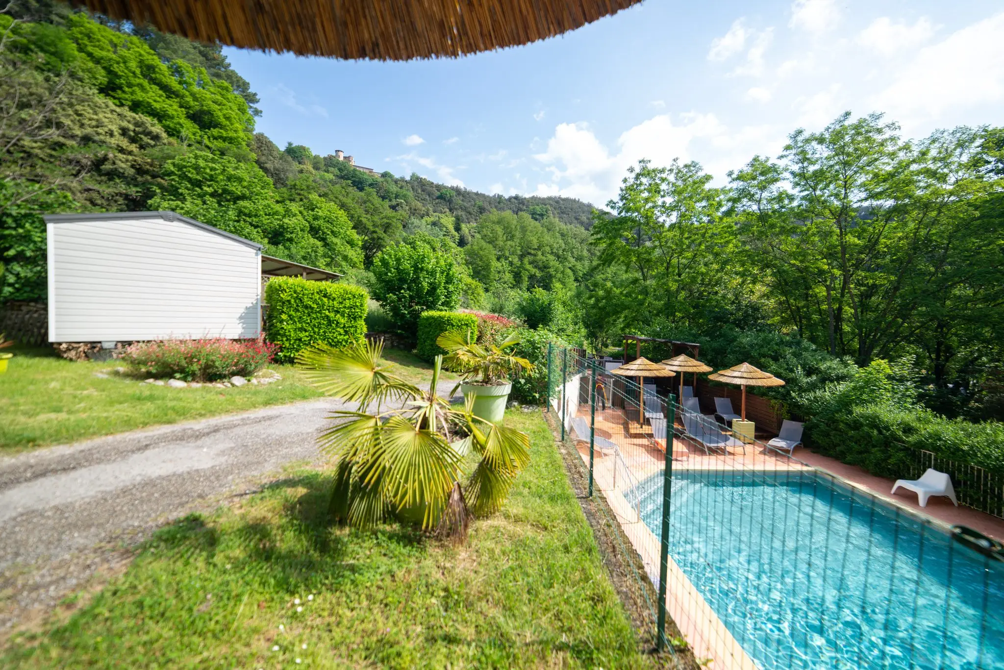 Piscine clôturée avec bains de soleil et paillotes, palmier, mobil-home et collines boisées en arrière-plan