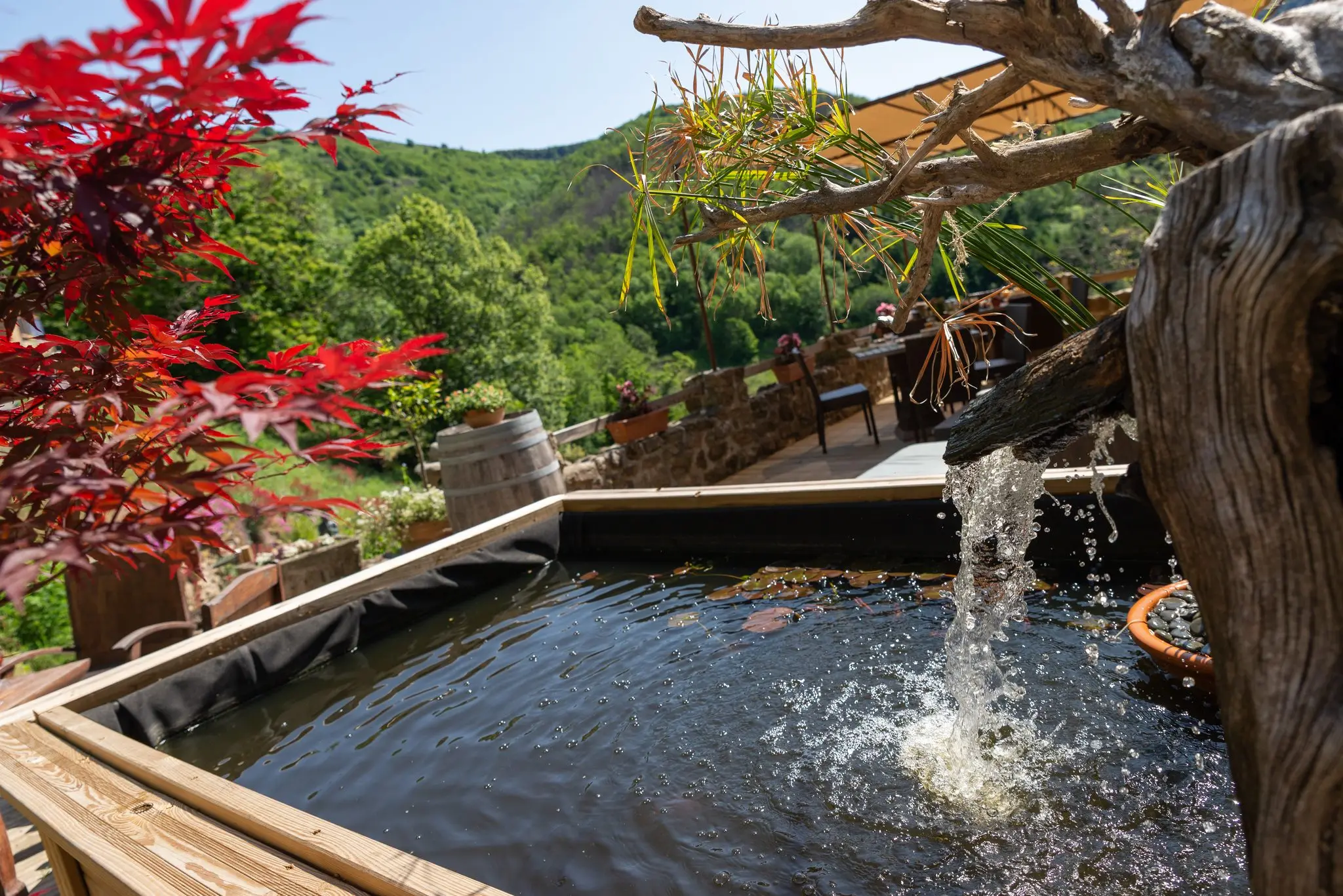Bassin en bois alimenté par une fontaine en bois flotté, érable du Japon pourpre au premier plan, terrasse et tonneau face aux collines
