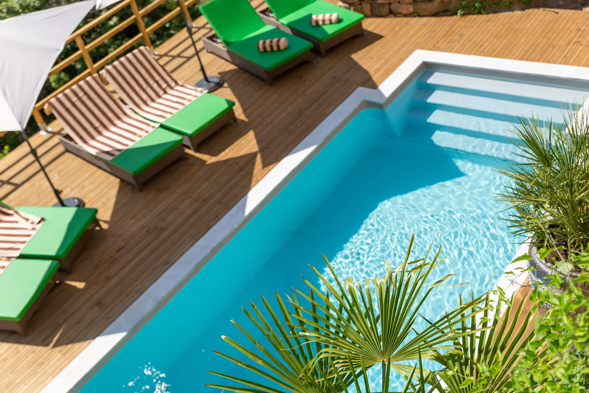 Vue plongeante sur la piscine et les transats verts d'une maison d'hôtes, palmier au premier plan