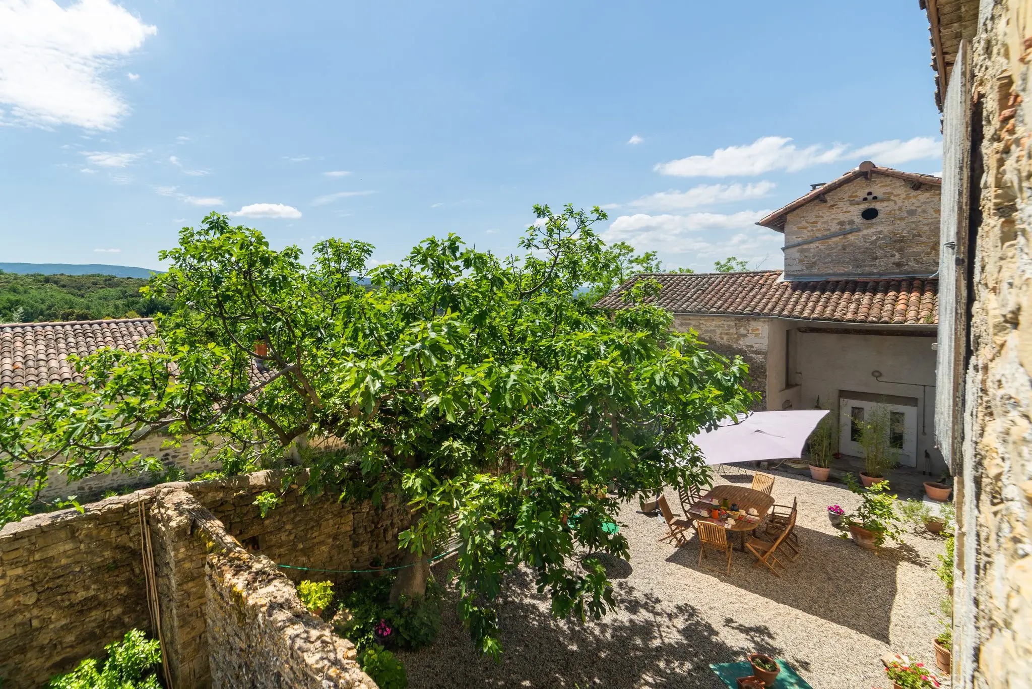Vue plongeante sur une cour gravillonnée ombragée par un grand figuier, table du petit-déjeuner sous un parasol, bâtiments en pierre et collines boisées à l'horizon