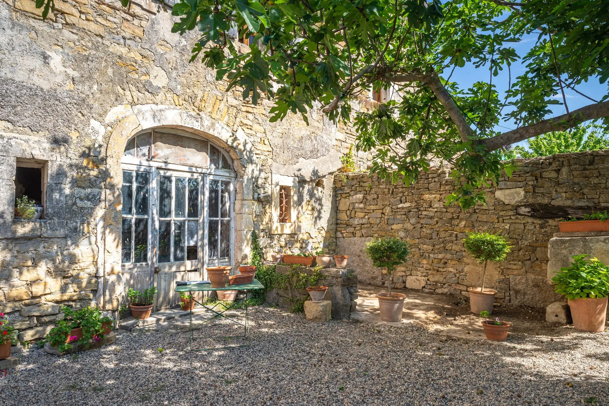 Cour intérieure gravillonnée devant une porte vitrée cintrée, murs de pierre sèche, buis en pots de terre cuite et branches de figuier en premier plan