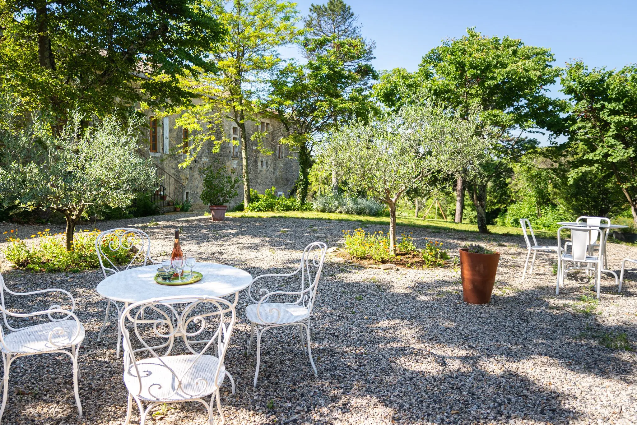 Terrasse gravillonnée plantée d'oliviers, tables et chaises en fer forgé blanc, bouteille de rosé et verres sur la table, façade en pierre au fond